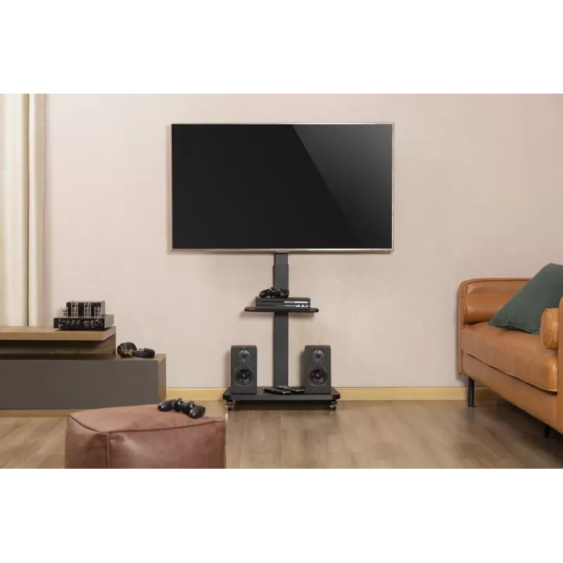 Gembird TVS-75S-02 stojak podłogowy pod telewizor z kółkami, 37 - 75, czarny