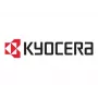 Zespół szczotki DC