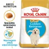 Royal Canin Golden Retriever Puppy sucha karma dla psów, 12 kg