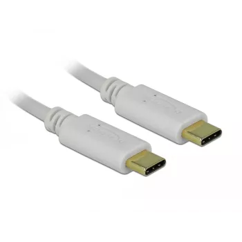Delock - kabel USB-C / zasilający - 24-pin USB-C (M) do 24-pin USB-C (M) - 5 A - 15 cm - zasilanie USB (100 W), obsługa Power Delivery 2.0 - biały (85357)