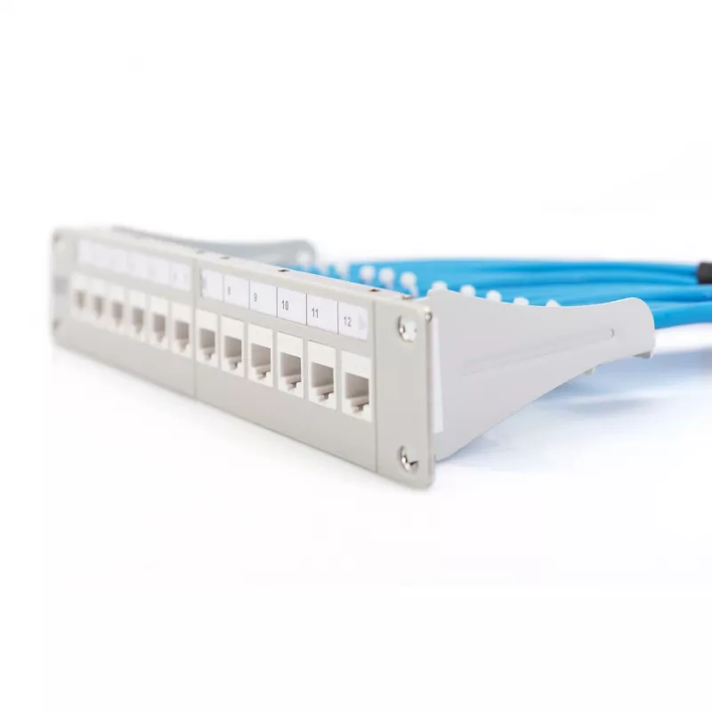 Modularny panel krosowy Digitus DN-91419 12-portowy