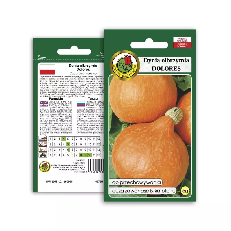 Nasiona — Apte Dynia Olbrzymia Dolores (dynia olbrzymia) nasiona, opakowanie 5 g
