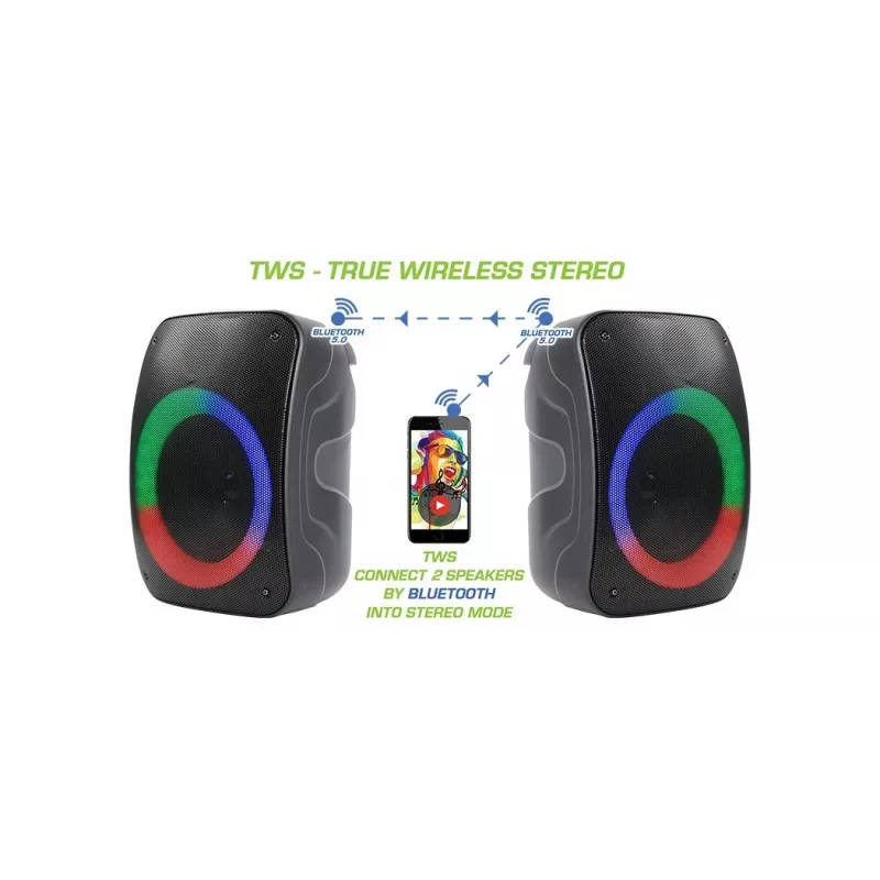 Bluetooth speaker Rebelt ec STAGE 300