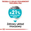 Royal Canin Mini Urinary Care CCN sucha karma dla psów, 3 kg