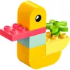 Bricks DUPLO 30673 My First Duck 4 in 1