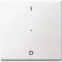 Przełącznik elektryczny Merten MEG5211-0319 biały (MEG5211-0319)