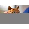 LEGO IDEAS 21376 pomarańczowy Cat