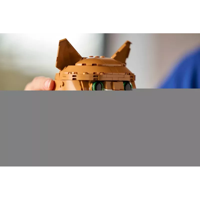 LEGO IDEAS 21376 pomarańczowy Cat