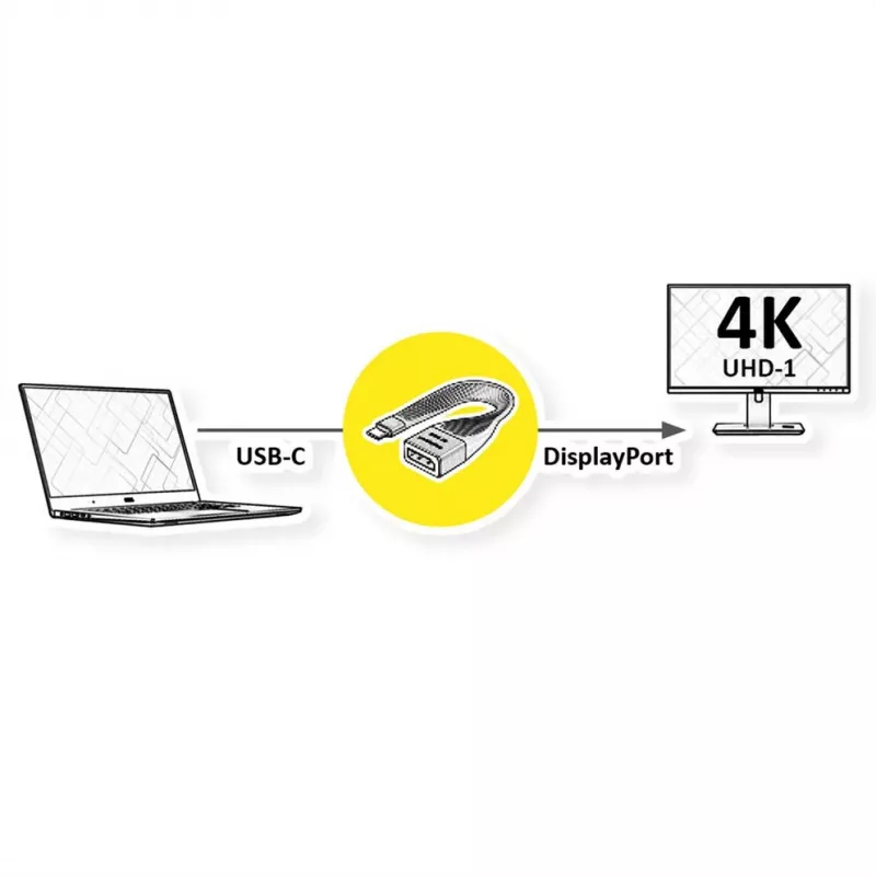 ROTRONIC-SECOMP Roline - Kabel adapter - USB-C (M) do DisplayPort (W)