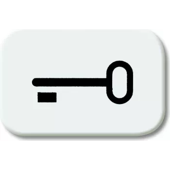 BJ - Reflex SI - Tastersymbol Schlüssel *alpinweiss* (2525TR-214)