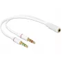 Kabel audio DeLOCK 65585 0,2 m 2x 3,5 mm męski na 3,5 mm żeński, biały