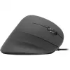 Mysz SPEEDLINK PIAVO Office USB Type-A Optyczna 2400 DPI