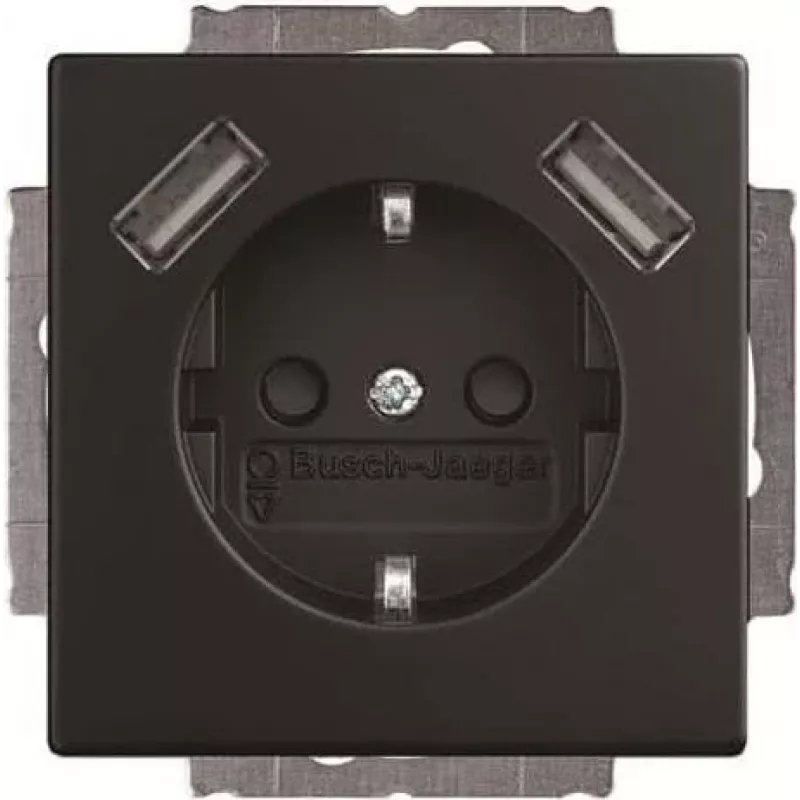 BJ 20 EUCB2USB-885 SCHUKO-/2x USB-Socket Outlet (2CKA002011A6279)