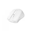 Mysz DICOTA D31659W RF bezprzewodowa USB Type-C