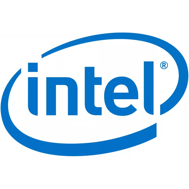 Intel Remote Management Module 4 Lite 2 - adapter do zdalnego zarządzania (AXXRMM4LITE2)