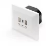 DIGITUS DA-70618 - wyjście USB - USB, USB Type C - 2 porty USB, 1 gniazdo USB-C - 3,1 A - RAL 9003, biel sygnałowa