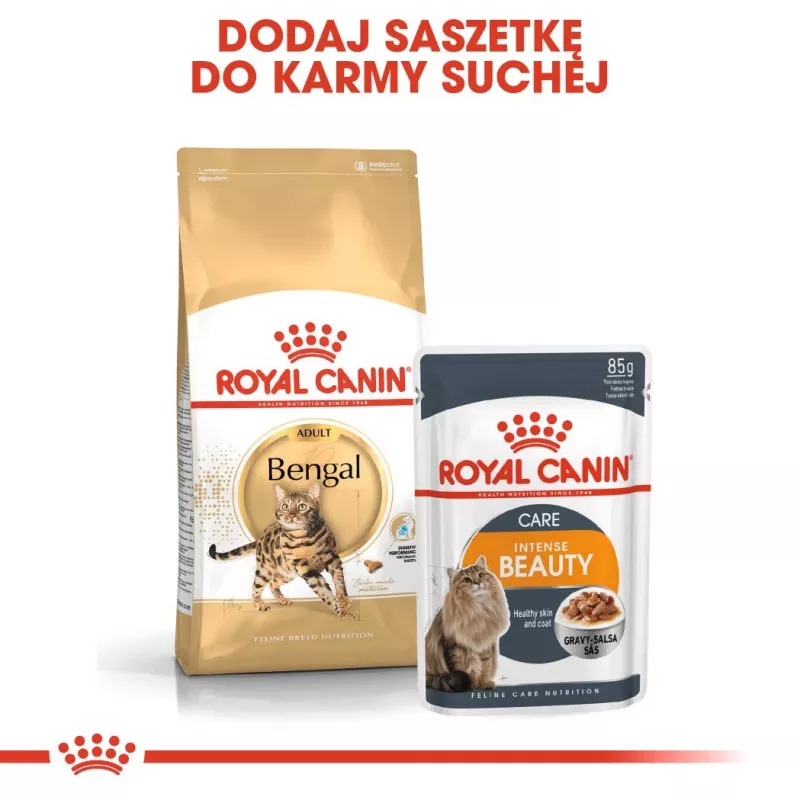Sucha karma dla kota Royal Canin Bengal Adult 2 kg — drób, 40% białka, 18% tłuszczu, pielęgnacja układu pokarmowego i skóry