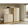 komoda z 2 drzwi i 4 szuflady, dąb artisan/kolor kaszmirowy