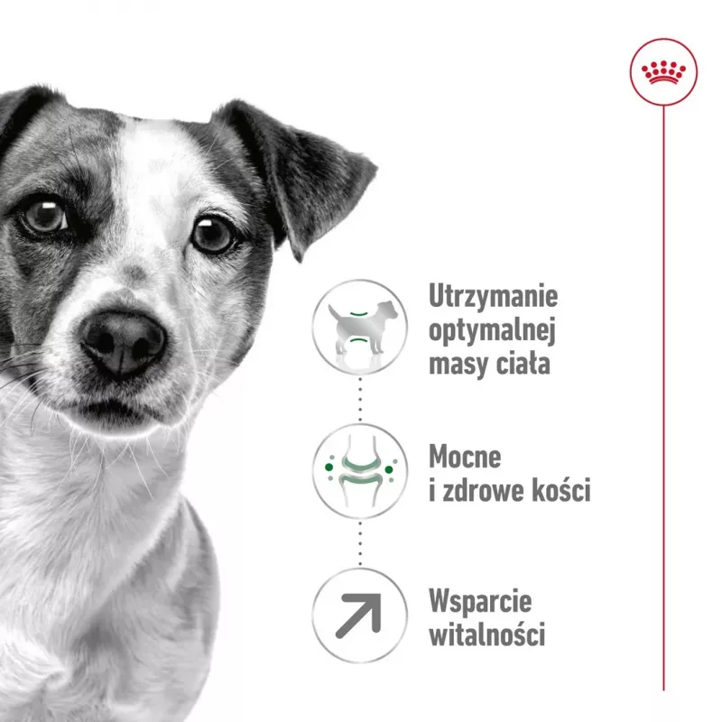 Sucha karma dla psów Royal Canin Mini Adult 8+ 2 kg — rasy małe 5–10 kg, drób, formuła kontroli wagi