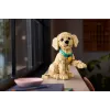 LEGO ICONS 11384 Szczeniak Golden Retriever