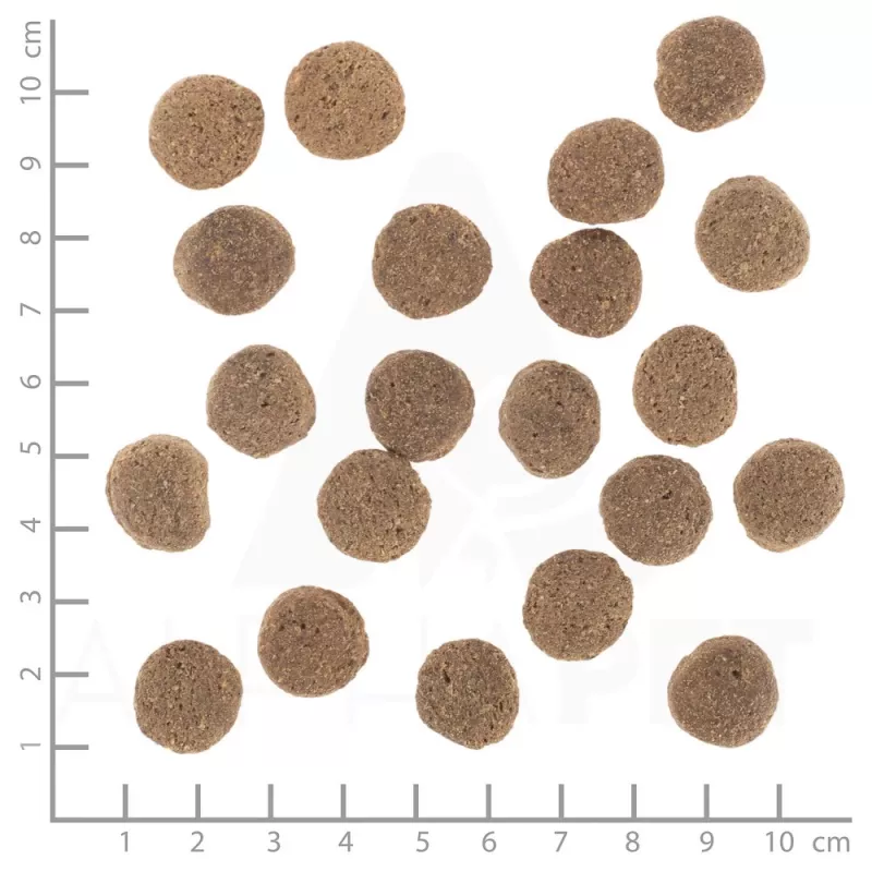 Sucha karma dla psa Wolfsblut VetLine Weight Management Turkey — 12 kg, bezzbożowa, 22% białka, 8% tłuszczu