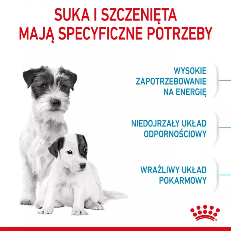 Sucha karma dla psa Royal Canin Starter Mother & Babydog 1 kg — kurczak, 30% białka, 22% tłuszczu