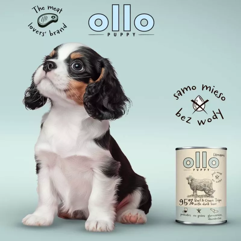 OLLO Puppy Umami Beef and Green Tripe with Duck Liver - mokra karma dla psa - 400g