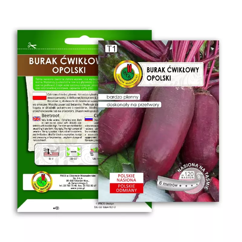 Taśma nasienna — Burak ćwikłowy (czerwony) Opolski cylindryczny Apte, rolka 6 m, gotowa do siewu