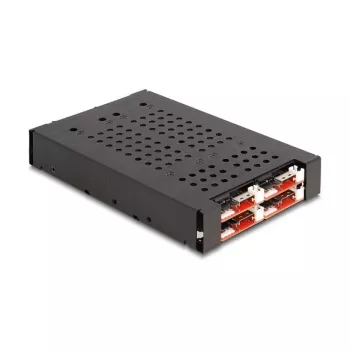 Klatka HDD DeLOCK 47072 Kompatybilna z Szafą Rack Metalowa Szerokość 100 mm