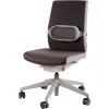 CHAIR BACK SUPPORT/I-SPIRE szary 8042201 FELLOWES