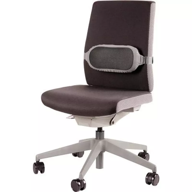 CHAIR BACK SUPPORT/I-SPIRE szary 8042201 FELLOWES