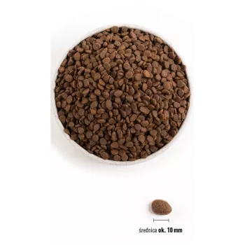 ORIJEN Regional Czerwony Cat - sucha karma dla kotów - 340 g