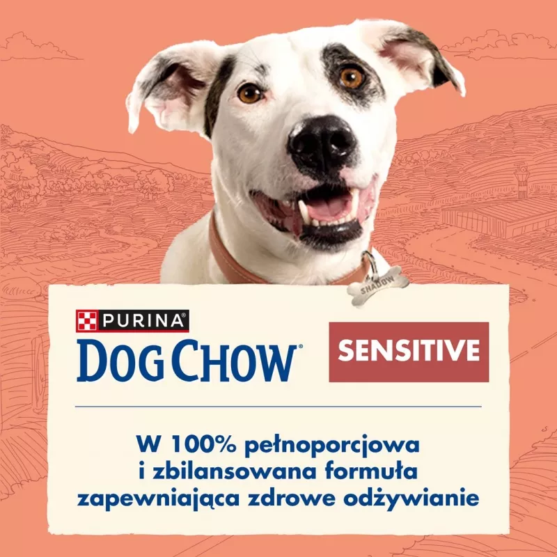 Purina DOG CHOW Sensitive Adult 14 kg Łosoś