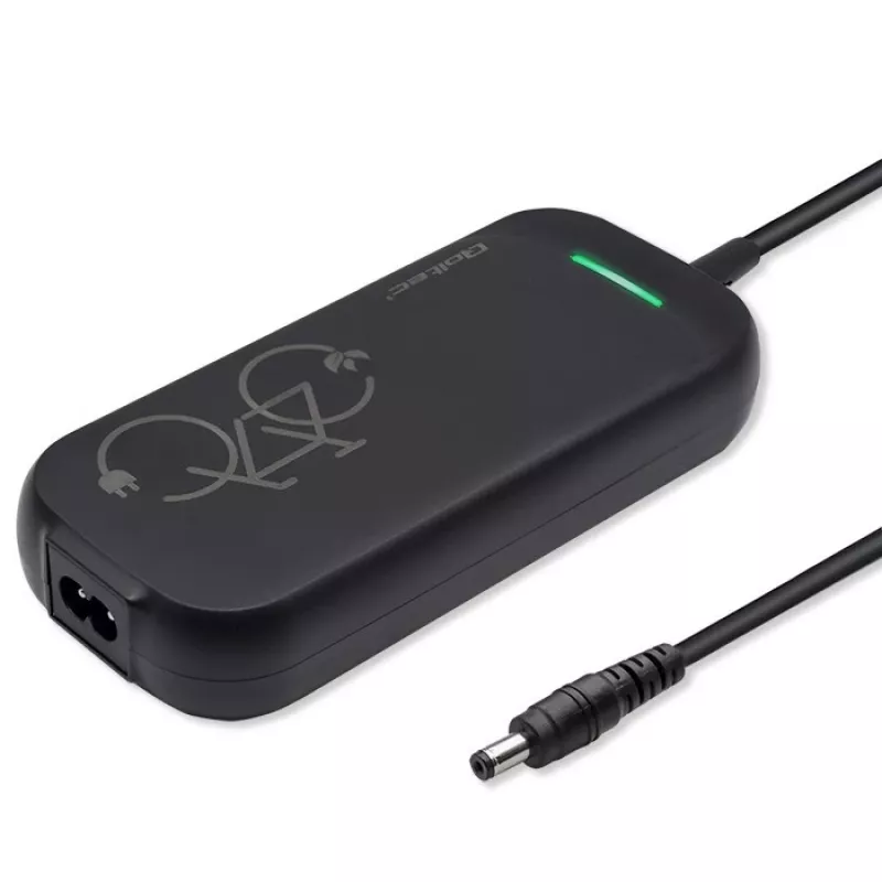 Ładowarka do roweru elektrycznego QOLTEC 50332 — wyjście 36V/42V, 2A, wtyk 5,5×2,1 mm