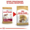 Sucha karma dla psa Royal Canin Cavalier King Charles Adult 1,5 kg — kurczak, mała rasa, skóra i sierść, wsparcie serca