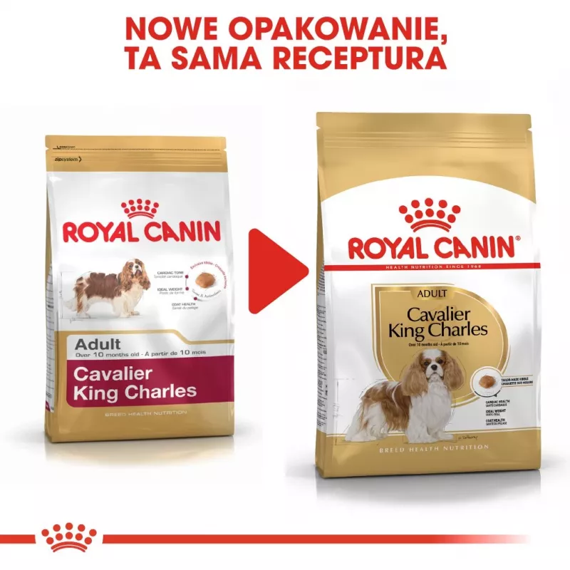 Sucha karma dla psa Royal Canin Cavalier King Charles Adult 1,5 kg — kurczak, mała rasa, skóra i sierść, wsparcie serca