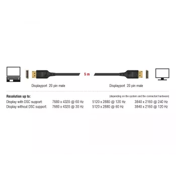 Kabel DisplayPort DeLOCK 85658 1 m Czarny