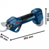 nożyce ogrodowe akumulatorowe GGP 12V-25 Professional solo, 12 V (niebieskie/czarne, bez akumulatora i ładowarki)