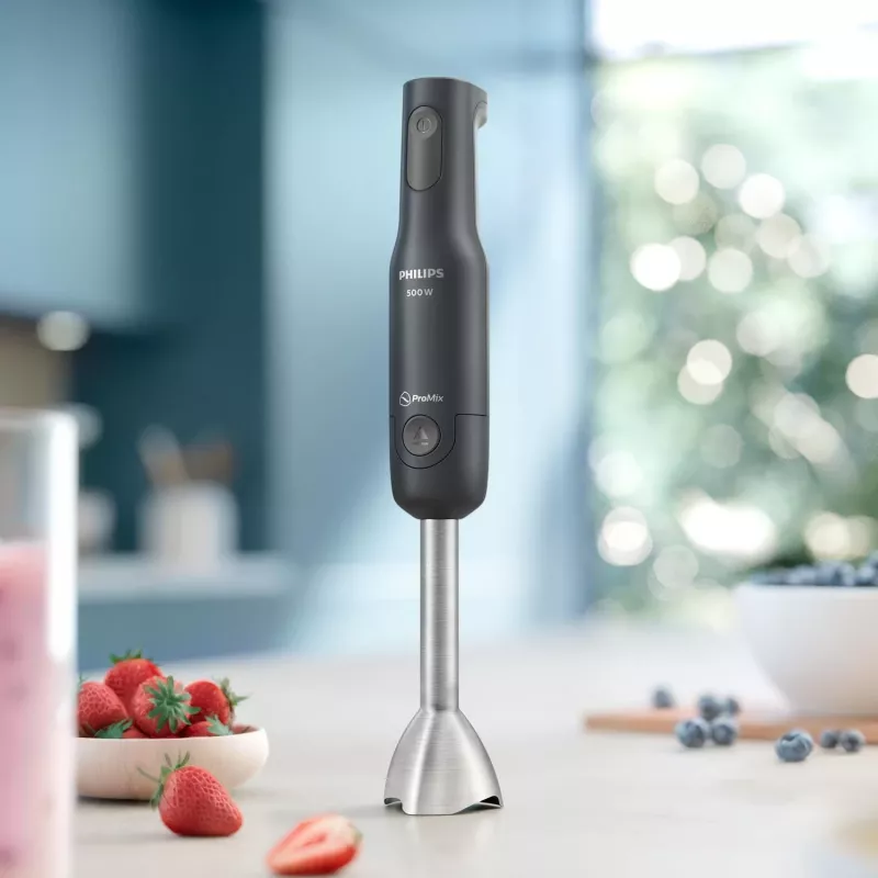 Philips 1000 series HR2522/00 blender Immersion blender 500 W