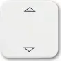 Busch-Jaeger 2CKA006430A0314 Smart-Home-aktuator Wyzwalacz do Żaluzji/Rolet (2CKA006430A0314)