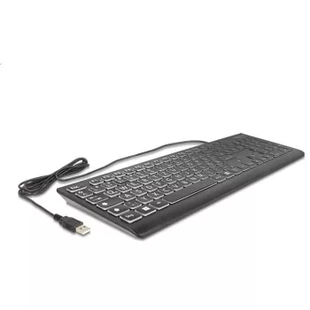 DeLOCK 12170 Klawiatura Uniwersalna USB QWERTZ Niemiecka Czarna Mechaniczna RGB