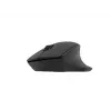 Natec Wireless mysz Siskin 2 BT 5.0 + 2.4GHZ