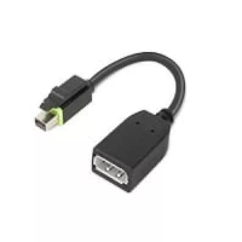 Lenovo 4X90Q93975 adapter kabla wideo Mini DisplayPort DisplayPort Czarny
