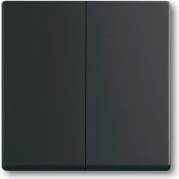 BUSCH JAEGER 1751-0-3038 - Tasten - Schwarz - Kunststoff - 63 mm - 63 mm - 1 Stück(e)