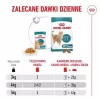 Mokra karma dla kota Royal Canin FHN Ageing 11+ Gravy 12×85 g – kompletne mokre tacki dla seniorów
