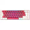 GAMIAC TKL69G SF Klawiatura gamingowa, Kailh Niebieski - biało-czerwona