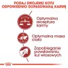 Royal Canin Feline Fit 2kg sucha karma dla kotów Adult