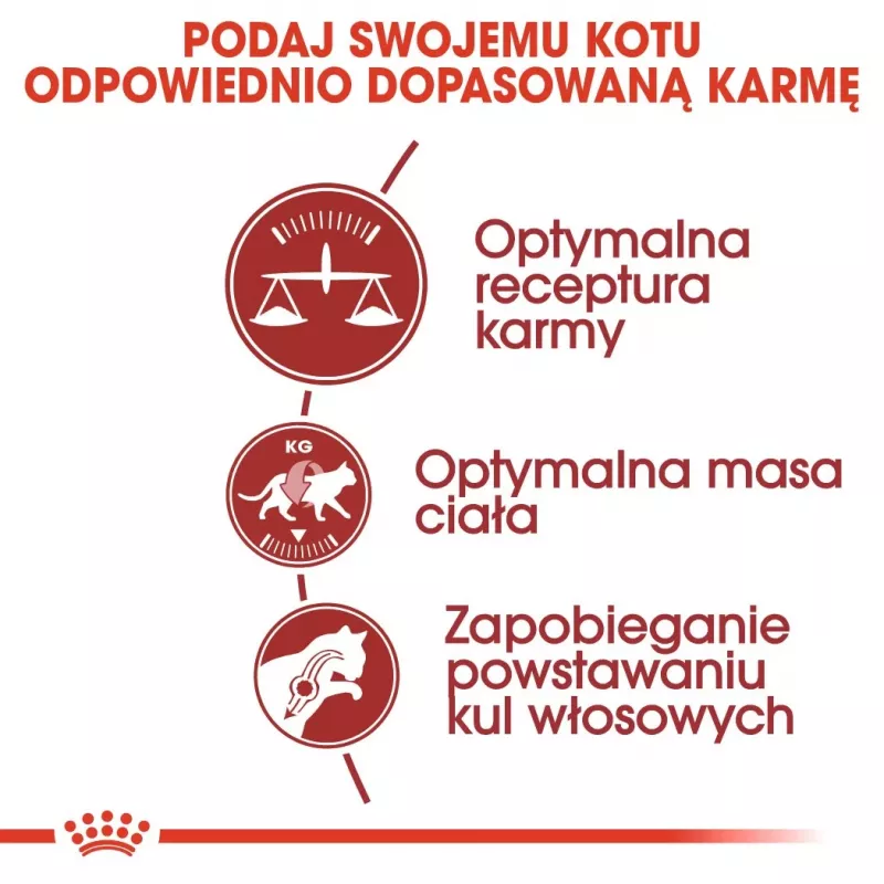 Royal Canin Feline Fit 2kg sucha karma dla kotów Adult
