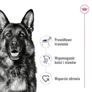 ROYAL CANIN SHN Maxi Adult Loaf Puszka 410g