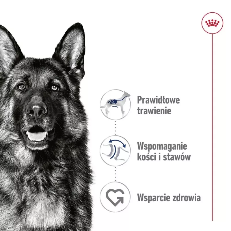 ROYAL CANIN SHN Maxi Adult Loaf Puszka 410g